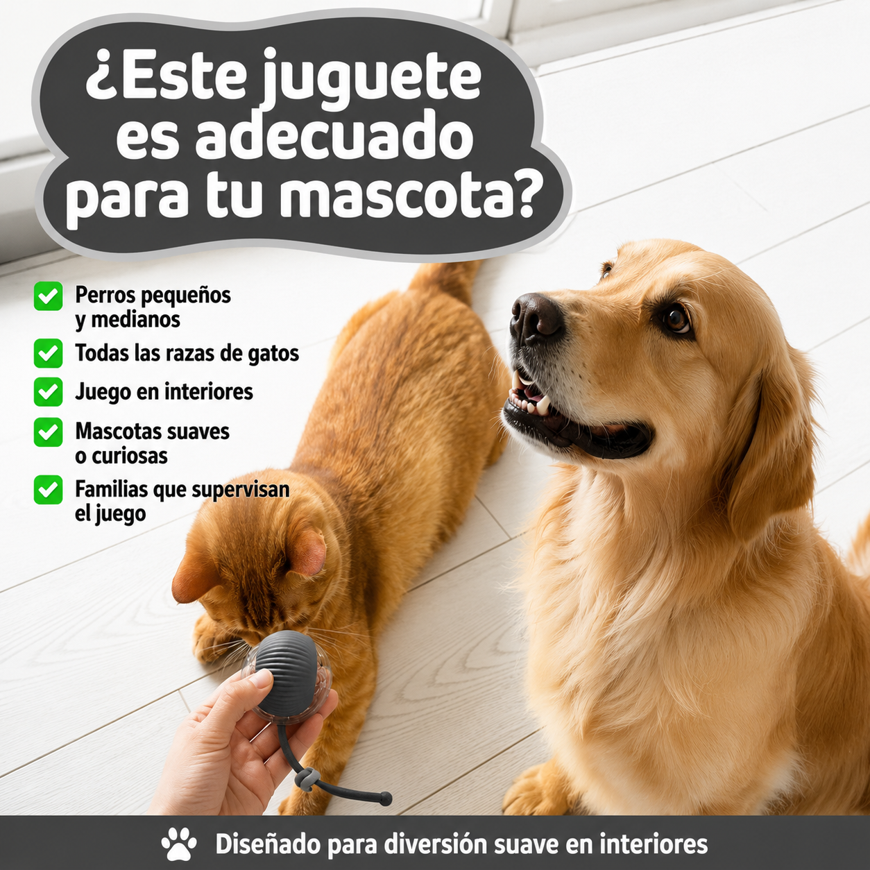 Diversión Inteligente para tu mascota (copia)