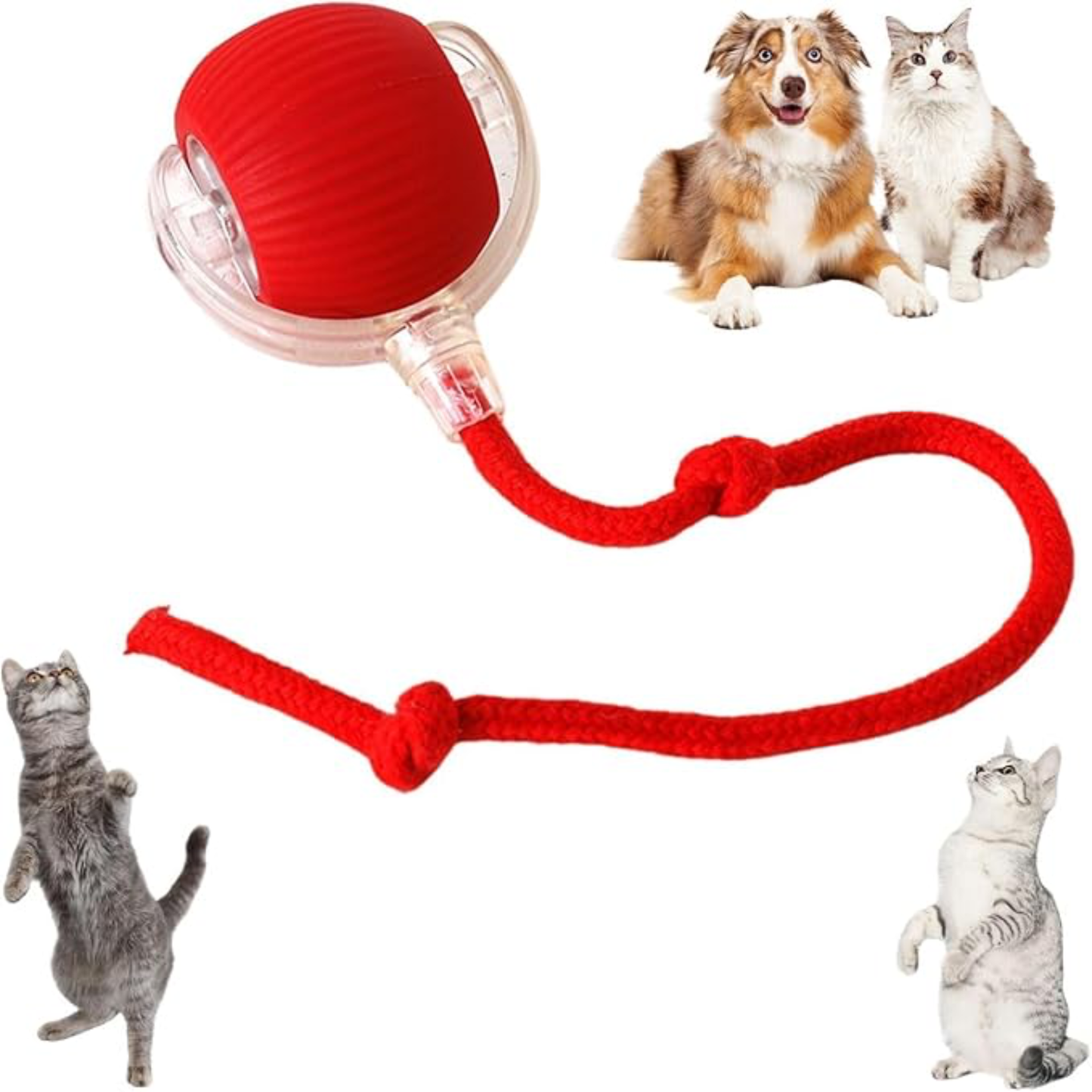 Diversión Inteligente para tu mascota (copia)