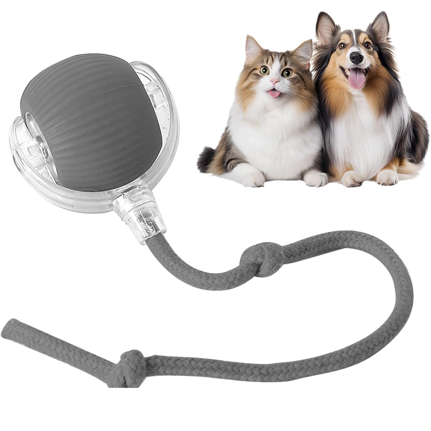 Diversión Inteligente para tu mascota (copia)