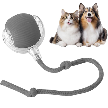 Diversión Inteligente para tu mascota (copia)