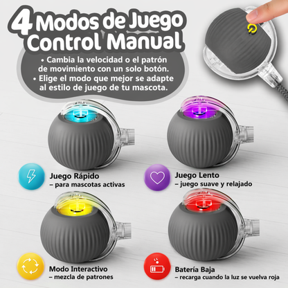 Diversión Inteligente para tu mascota (copia)
